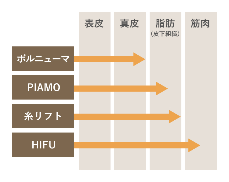 ボルニューマ PIAMO 糸リフト HIFU 表皮 真皮 脂肪（皮下組織） 筋肉