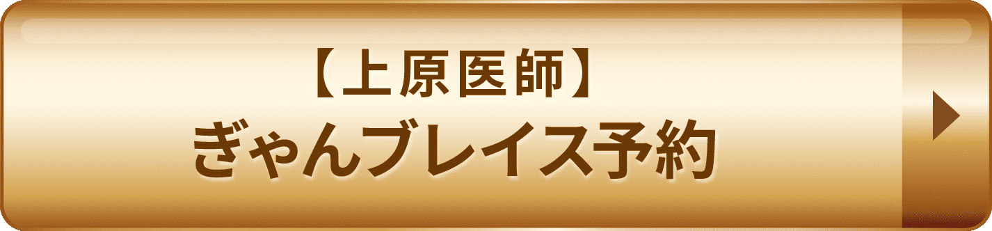 ぎゃんブレイズ予約