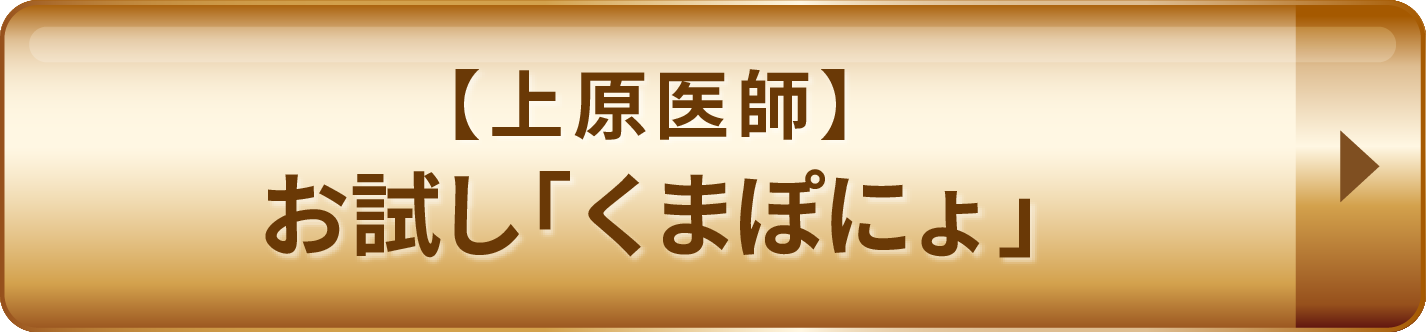 くまぽにょ