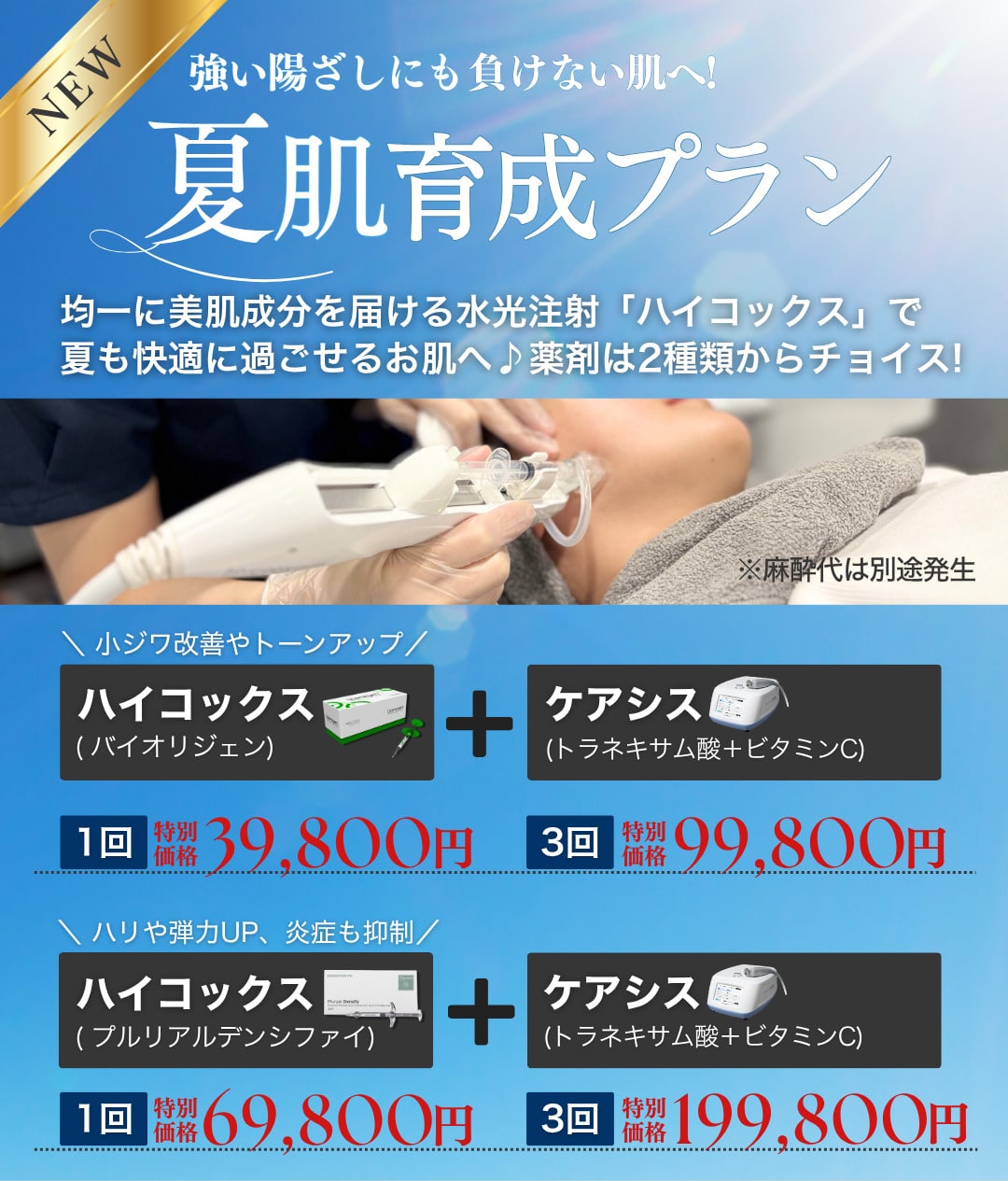 ハイコック+ケアシス