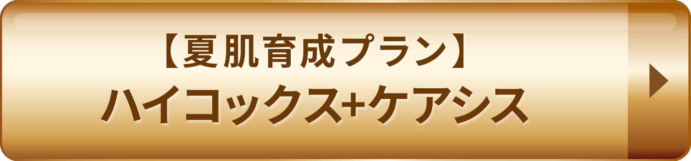 ハイコック+ケアシス