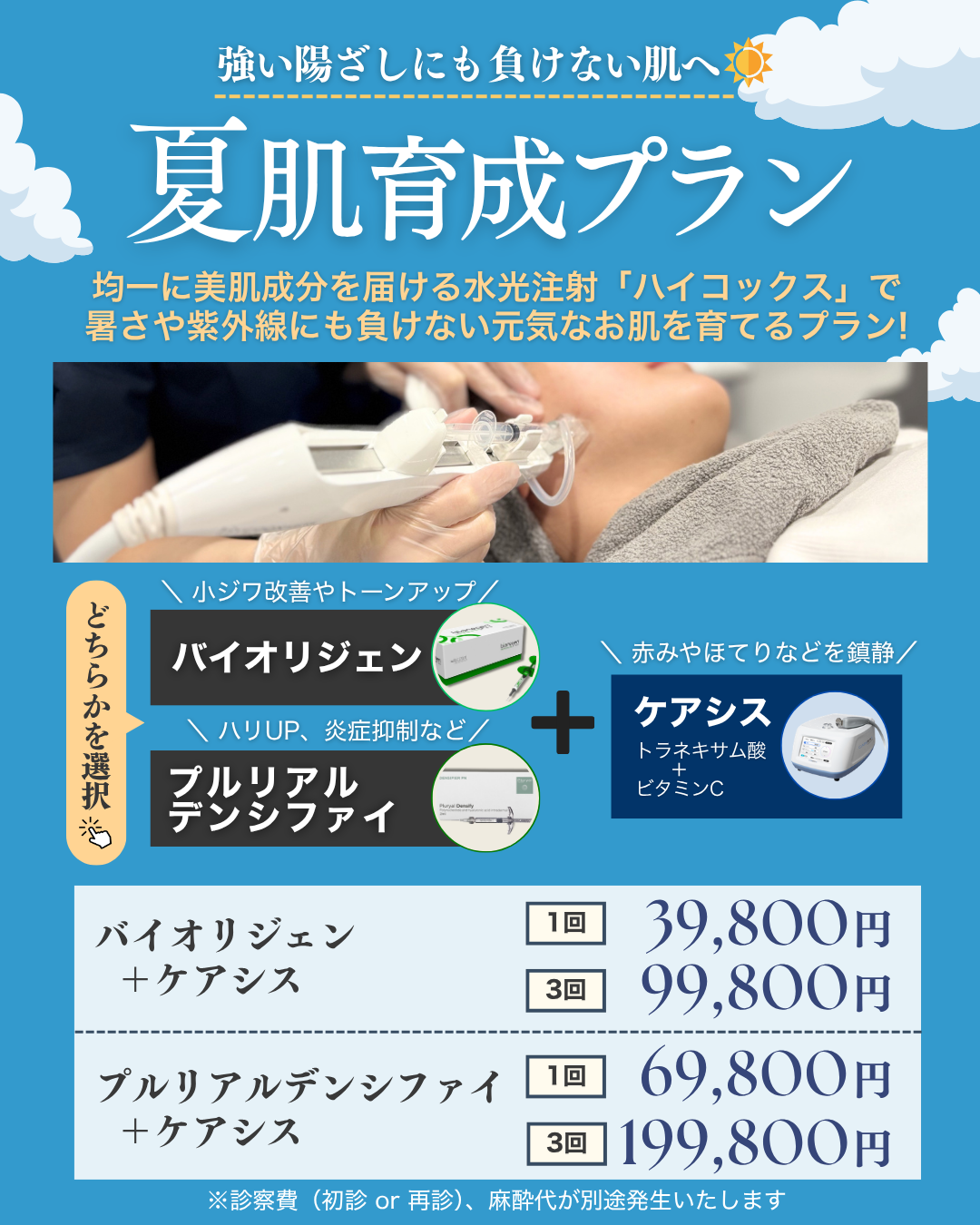 ハイコック+ケアシス