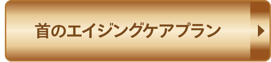 首のエイジングケアプラン